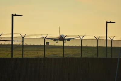 DSC_5732 (Large).JPG